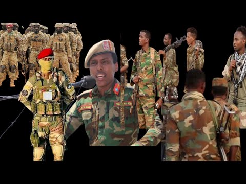 Heesta ciidanka Gefka uma dulqaatan gardarada ma yeelan, geerida ma diidaan .