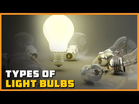 Types of Light Bulbs