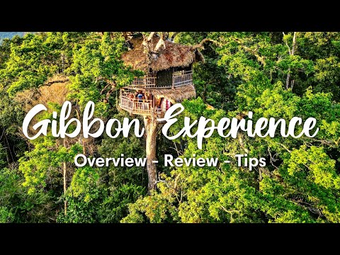 THE GIBBON EXPERIENCE, LAOS | Overview 3-Day Classic Tour (+ Honest Review & Tips)
