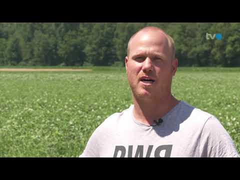 Pflanzenschutz im Ackerbau