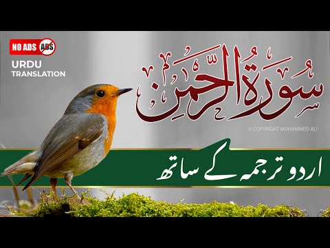 Surah Rahman With Urdu Translation Full | Episode 105 | Quran Tilawat Tarjuma