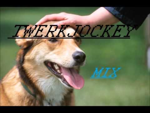 TRAP/MOOMBAHTON/ELECTRO-HOUSE MINI MIX (Mixed by TwerkJockey)