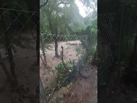 25 de octubre de 2025