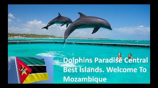 AFRICAN CAPSULE Episode 13!  AMAZING MOZAMBIQUE! BEST DESTINATIONS, THINGS TO DO, FESTIVALS, FOOD ..