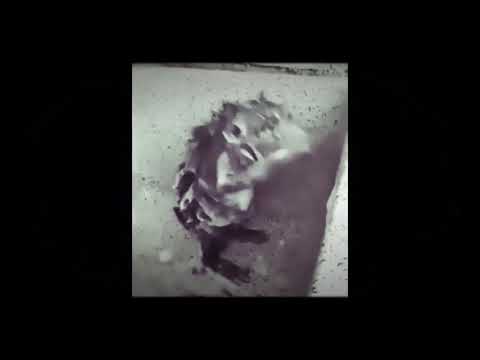 When JJBA Part 5 ED『Modern Crusaders』 plays