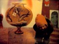 Badly Drawn Boy: Using Our Feet