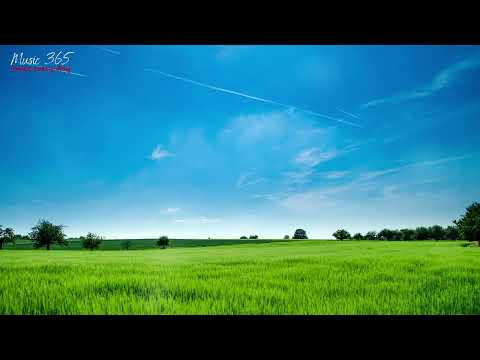 The View - Johan Glossner