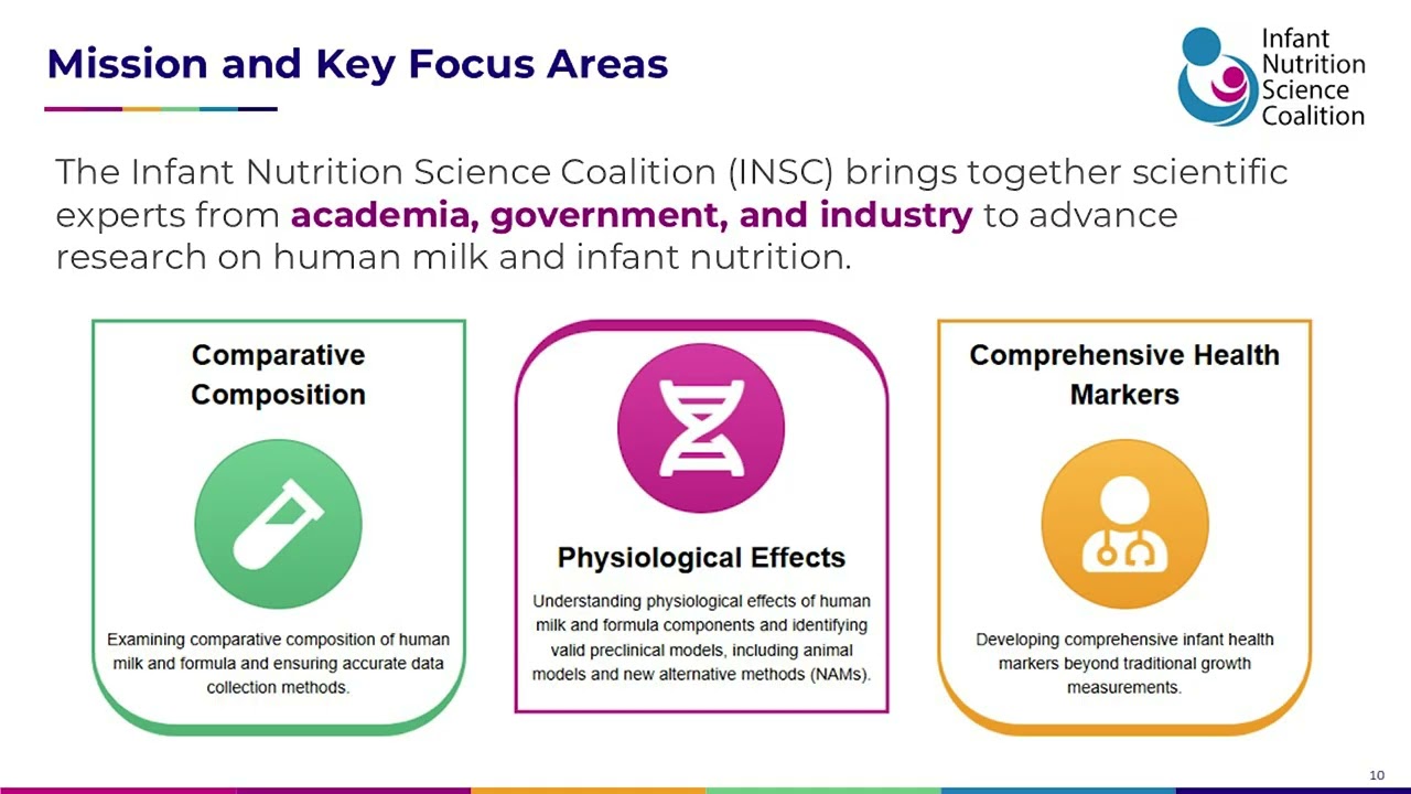 INSC, Workshop, and Perspectives Paper Overview