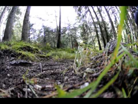 Medrazer Downhill Gang, Stubaital, Stubai, Downhill, MTB, Kinder, Cycling, Tirol,