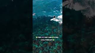 The Only Surf Check Built for SoCal Surfers 🌊 | SwellChecker