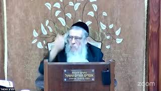 הרה"ג הרב וועכטר שליט"א כ' חשון תשפ"ו - מאמר הרבי הריי"צ (הרב אברהם מנחם מענדל וכטר) - התמונה מוצגת ישירות מתוך אתר האינטרנט יוטיוב. זכויות היוצרים בתמונה שייכות ליוצרה. קישור קרדיט למקור התוכן נמצא בתוך דף הסרטון הרה"ג הרב וועכטר שליט"א כ' חשון תשפ"ו - מאמר הרבי הריי"צ (הרב אברהם מנחם מענדל וכטר) - התמונה מוצגת ישירות מתוך אתר האינטרנט יוטיוב. זכויות היוצרים בתמונה שייכות ליוצרה. קישור קרדיט למקור התוכן נמצא בתוך דף הסרטון