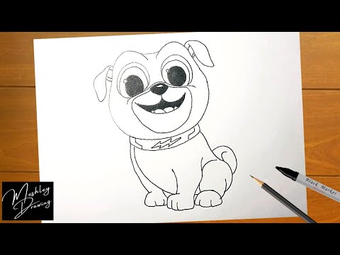 How to Draw BINGO from Puppy Dog Pals Step by Step