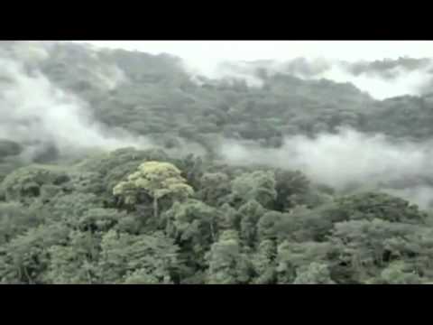 Sander van Doorn   Adrian Lux - Eagles