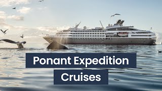 PONANT Expedition Cruises & National Geographic | Panache Cruises