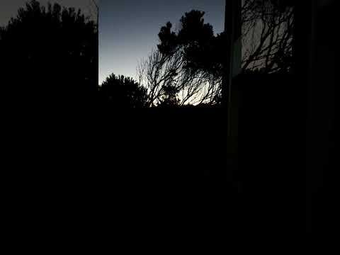 They are  arriving in San Antonio and all over Rocha for the mandatory beach vacation