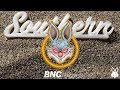 KZ - Absorved [BNCexpress]
