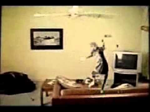 AMAZING VIDEO CLIPS  Brilliant Cat  Collected by Rashid Siddiqi evergreenpeople@yahoo com