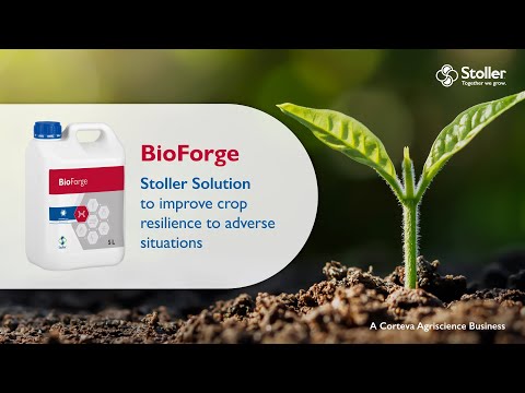 BioForge | Improve crop resilience to adverse situations