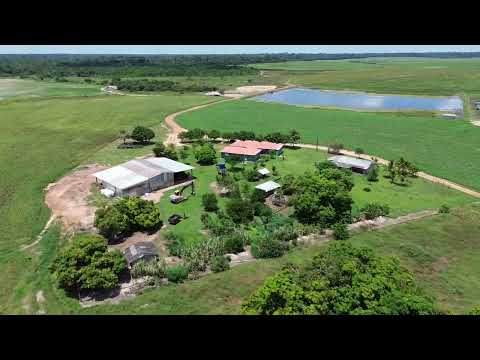 Fazenda em Roraima no Bonfim de 1525 hectares a 85 km da capital 