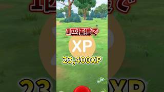 【重要】⚠️XP爆稼ぎ⚠️マジで急げ！TL上げたい人は注意！激アツボーナスと限定ポケモンがマジで最高！ウルトラアンロック10周年版が開催【ポケモンGO】#ポケモンGO #島名なまし　#しあわせたまご
