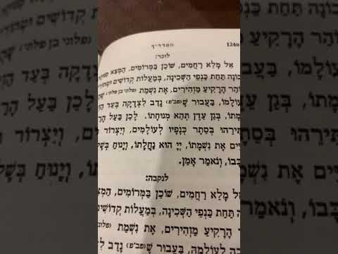 Chazan Nathan Gluck - Basic Hazkoroh (Kel Moleh Rachamim)