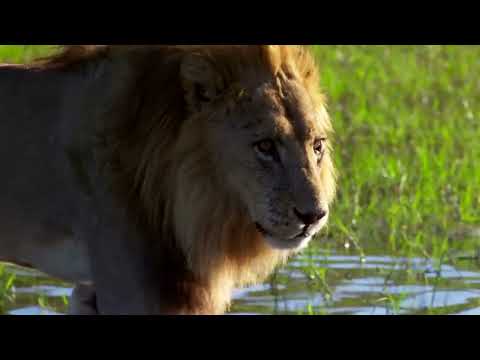 Beauty of Nature #beautiful #beauty #nature #naturevibes #earth #khuda #kainat #dunia