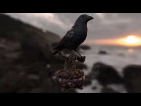 Stuffed Crow lowpoly mode l- Rise of Insanity