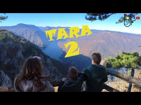 Avantura na TARI - 2 deo *2020*