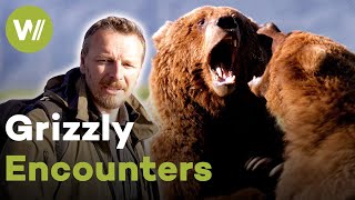 Brown bears like you've never seen them before! | Grizzly Encounters with Chris Morgan (1/2)
