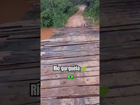Rio gurgueia 🌵🇧🇷 em alvorada do gurgueia Piauí 🌵