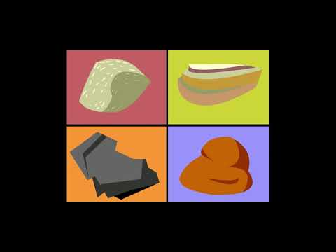 Brainpop Com