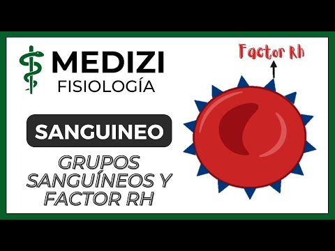 Class 35 Blood Physiology - Blood Types and Rh Factor (IG:@doctor.paiva)