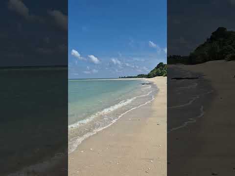 Bharatpur Beach Neil Island Andaman