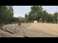 How to Ride USDF Introductory Level Test C