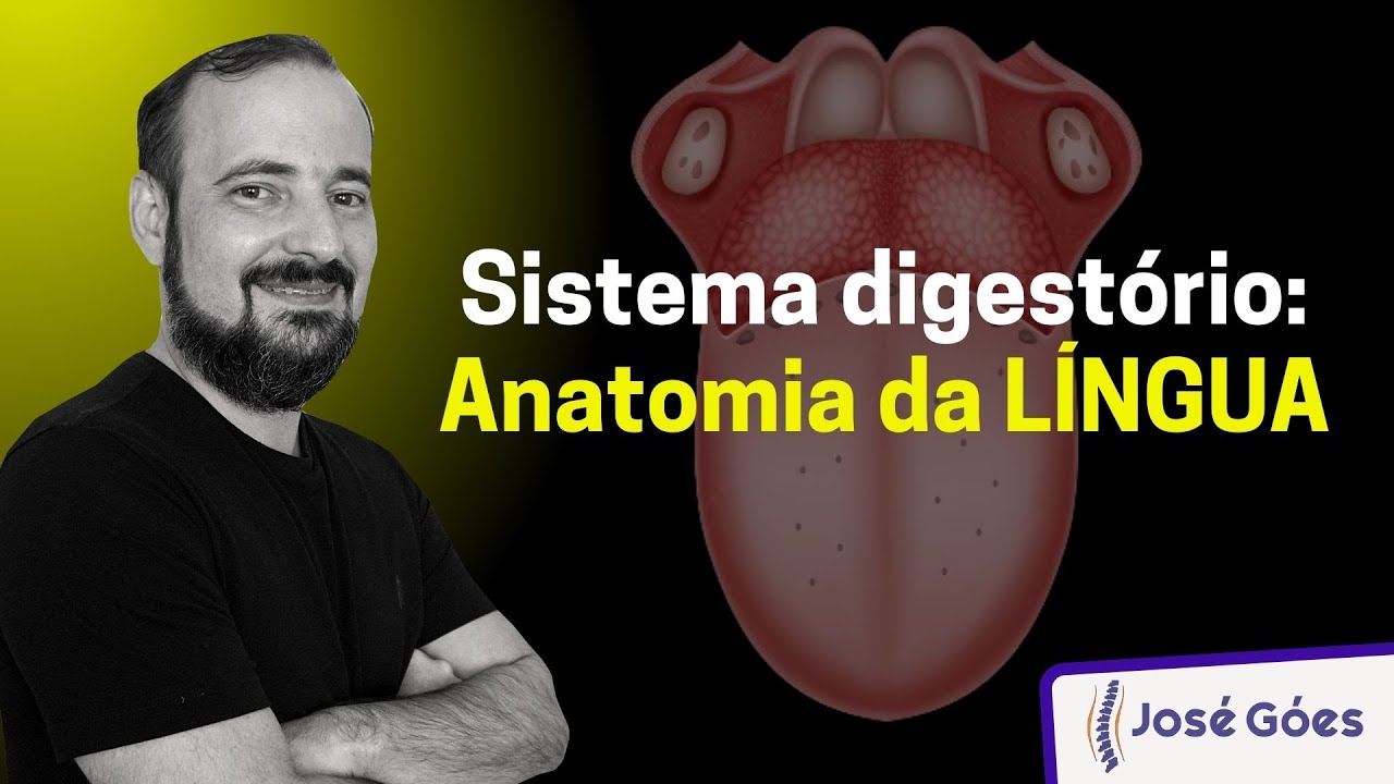 Sistema digestório: anatomia da LÍNGUA | José Góes