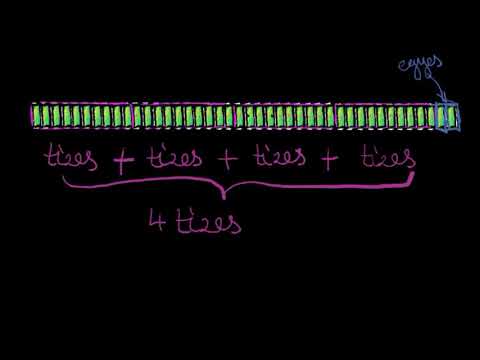 Helyi érték példa: 42 | Helyi érték | Alapszintű matematika | Khan Academy magyar