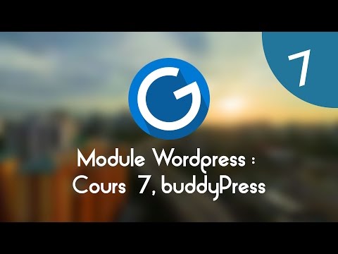 Formation IMM Module Wordpress Cours tuto 7 buddyPress
