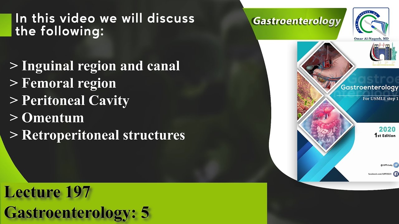 Inguinal canal | Femoral region | Peritoneal Cavity | Omentum | Retroperitoneal structures
