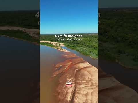 Fazenda as margens do Rio Araguaia-GO 289 alqueires - Cocalinho-MT #fazendaavenda #agro
