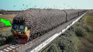 НЕ ПРИБЛИЖАЙТЕСЬ, Если Увидите ЭТО! Случаи В ПРИРОДЕ Один На МИЛЛИОН!