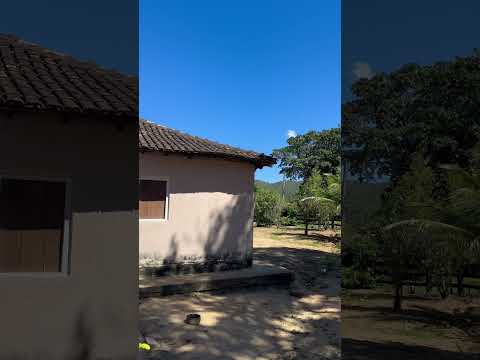 Palmeirópolis Tocantins ZONA RURAL #tocantins #palmeiropolis