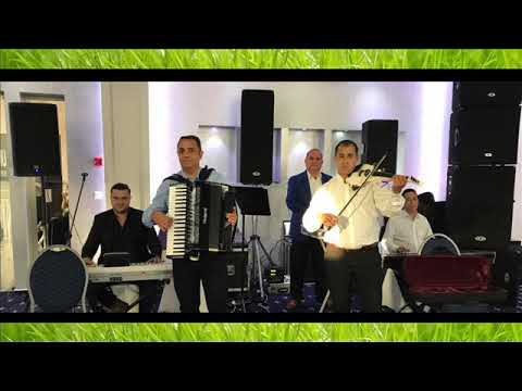 UNIVERS DIN MIZIL 2017 COLAJ MUZICA POPULARA DE PETRECERE LAUTAREASCA HORE SARBE 2017