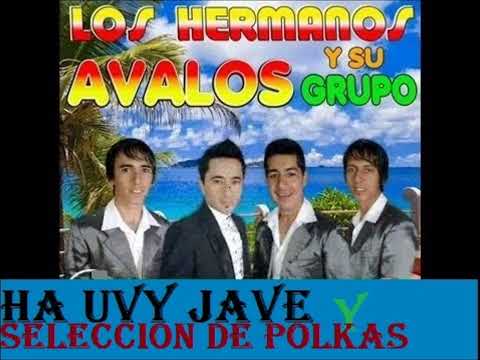 LOS HERMANOS AVALOS Y  SU GRUPO - HA UVY JAVE Y SELECCION DE POLKAS