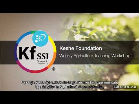 2019 02 13 PM Public Teaching in Romanian - Cursuri publice în română