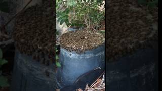 Wash board behavior observed