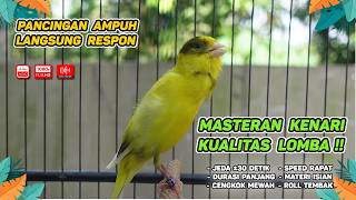 Download lagu Kenari GACOR NGEREK‼️ Masteran Kenari PAUD dan Pancingan Kenari MACET BUNYI dan Betina NGIWIR -401 mp3