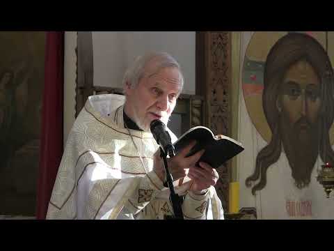 Храм благовещения пресвятой богородицы. Проповедь отца константина татаринцева. Литургия проповедь. Божественная литургия в храме христа спасителя. Дмитрий кельманов священник.