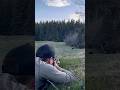 Black Bear Hunting with Iron Sights #2024 #britishcolumbia #springbear #mountains #bearhunting