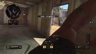 三ヶ月ぶりのBO4実況で有名になりたきゃAIM合わせて人殺すか！！