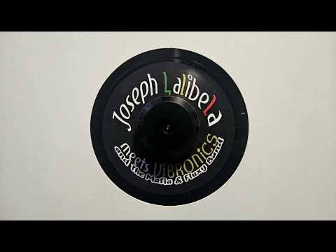Chant Down Babylon – Joseph Lalibela meets Vibronics – Chant Down version –SCOOP082